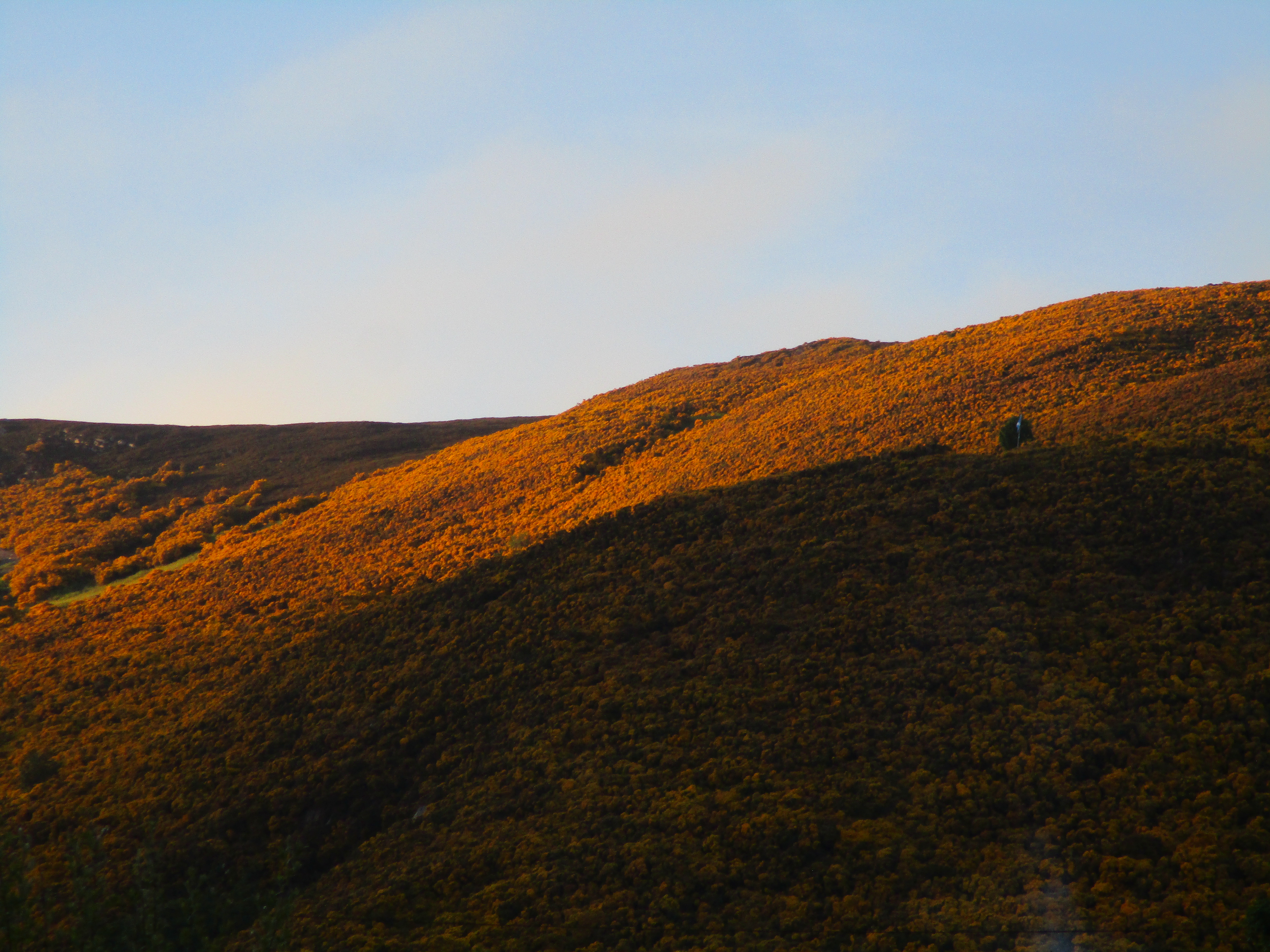 Evening Sun on Helmsdale Rock